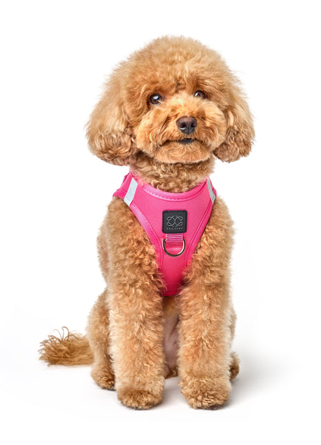 SoHo Dog Harness - Park Ave Pink