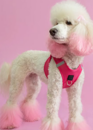SoHo Dog Harness - Park Ave Pink