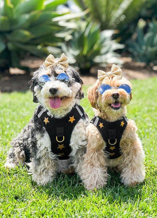 SoHo Dog Harness - Rockstar