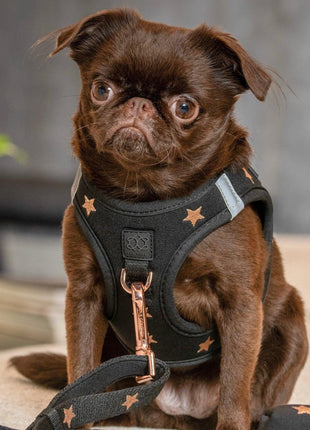 SoHo Dog Harness - Rockstar