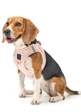 SoHo Dog Harness - Sweetheart