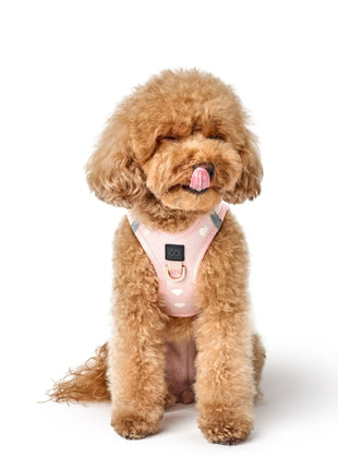 SoHo Dog Harness - Sweetheart