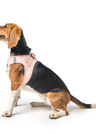 SoHo Dog Harness - Sweetheart
