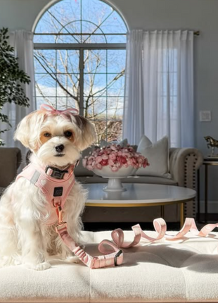 SoHo Dog Harness - Sweetheart