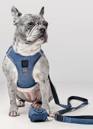 SoHo Dog Harness - Denim