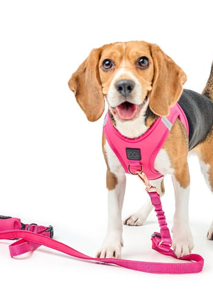 3-in-1 City Dog Leash - Park Ave Pink - Pup List
