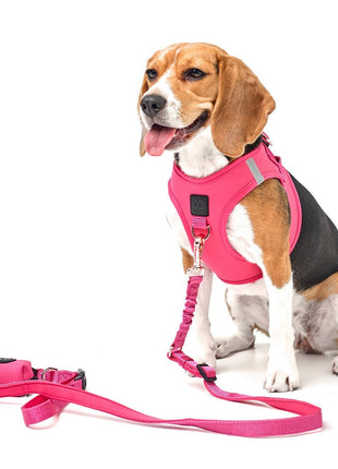 SoHo Dog Harness - Park Ave Pink