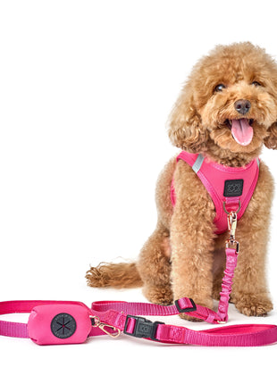 3-in-1 City Dog Leash - Park Ave Pink