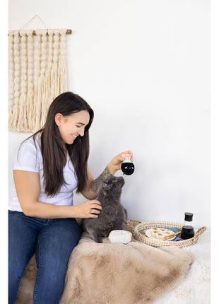 Soy Sauce and Sushi Cat Toy Set | Plush Toys for Pet Lovers | Giftable Cat Stocking Stuffer