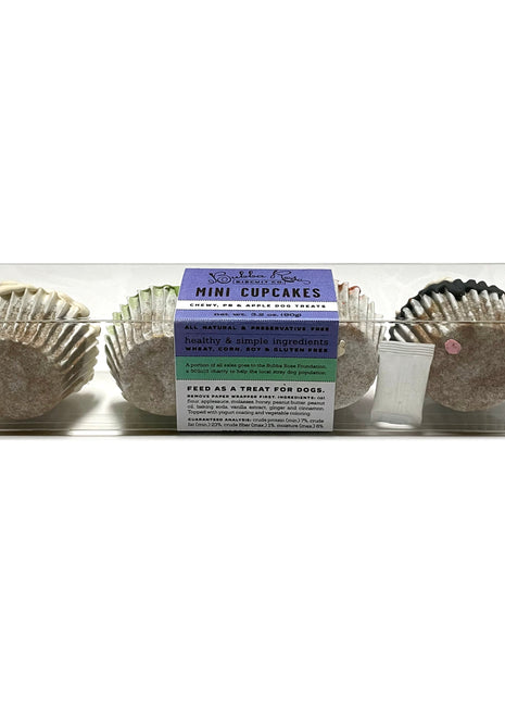 Spooky Mini Cupcake Box