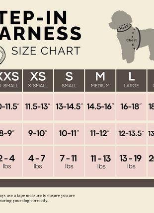 Summer AIR Harness - Ocean