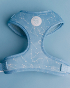 Star Gaze Adjustable Harness