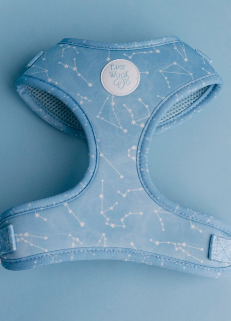 Star Gaze Adjustable Harness
