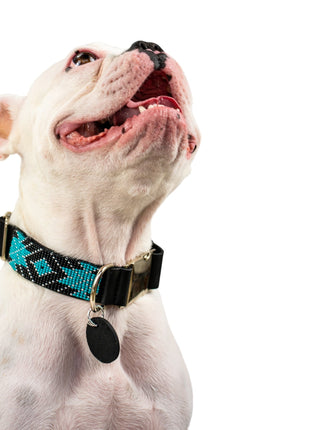 Saint Barth dog collar (quick release)