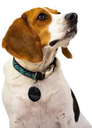 Saint Barth dog collar (quick release)