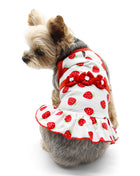 Strawberry Dress