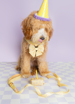 Ever So Sweet Step-in Harness - Pup List