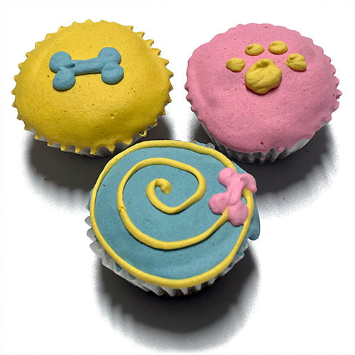 Summer Mini Cupcake Box