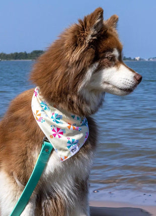 Sun & Shade Dog Bandana