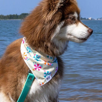Sun & Shade Dog Bandana