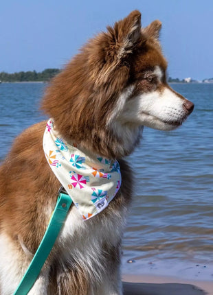 Sun & Shade Dog Bandana & Matching Keychain
