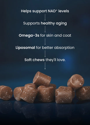 PET NMN Longevity Chews for Cats