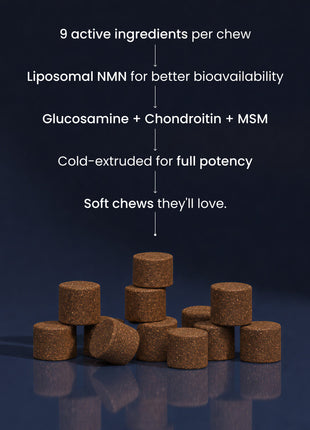 PET NMN Longevity Chews for Dogs