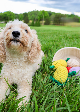 MarketVeg Rope Toys