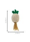 Onion
