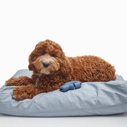 Bed Cover