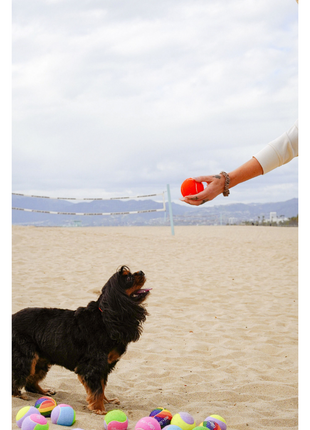 Tennis Ball for Dogs