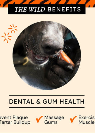 Cow Tails Dog Treats