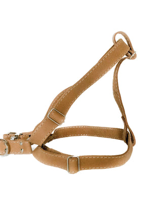 Step In Leather Dog Harness