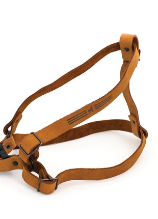 Sport Style Leather Step In Harness