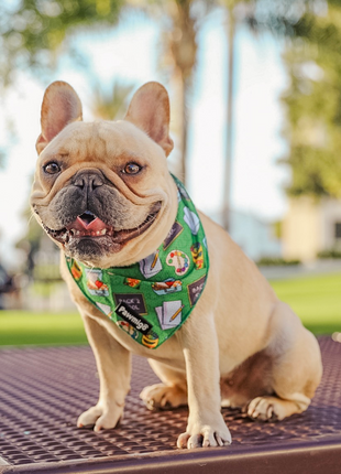 Teacher's Pet Cooling Bandana