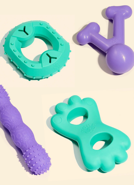 Teethin' Time - Pup List