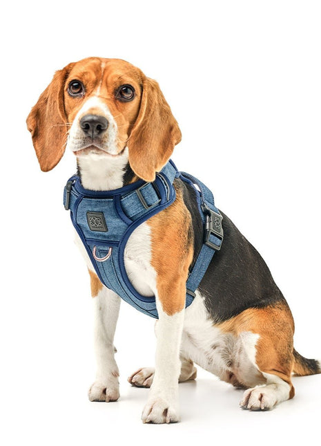 The NoMad Adjustable Luxe Harness - Denim - Pup List