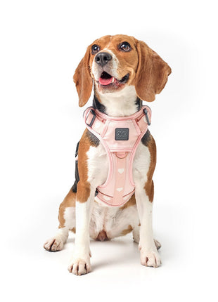 The NoMad Adjustable Luxe Harness - Sweetheart - Pup List
