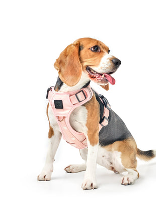 The NoMad Adjustable Luxe Harness - Sweetheart