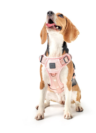 The NoMad Adjustable Luxe Harness - Sweetheart