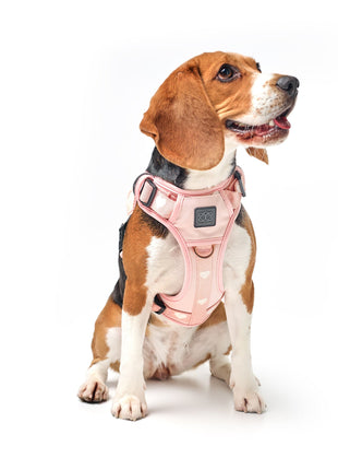 The NoMad Adjustable Luxe Harness - Sweetheart