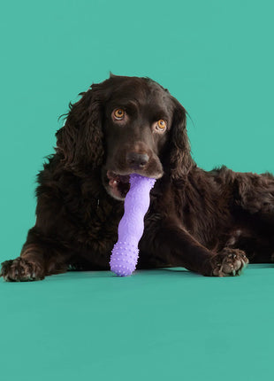Teethin' Time - Pup List