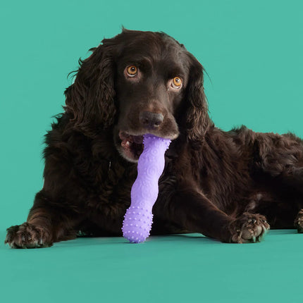 Teethin' Time - Pup List