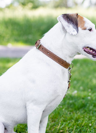 Traditional Style Leather Collar and Leash Set