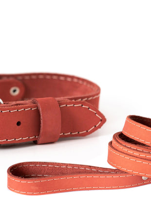 Traditional Style Leather Collar and Leash Set