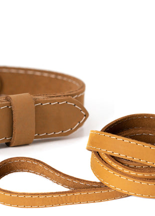 Traditional Style Leather Collar and Leash Set