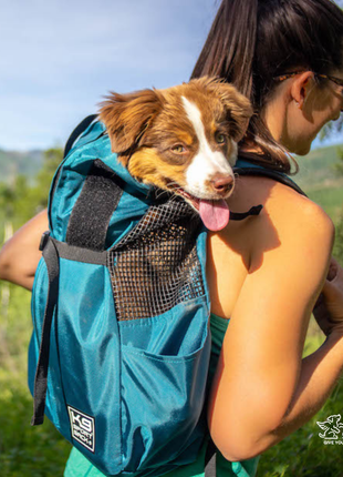 Trainer | Puppy & Small Dog Carrier