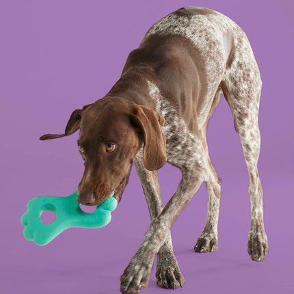 Teethin' Time - Pup List