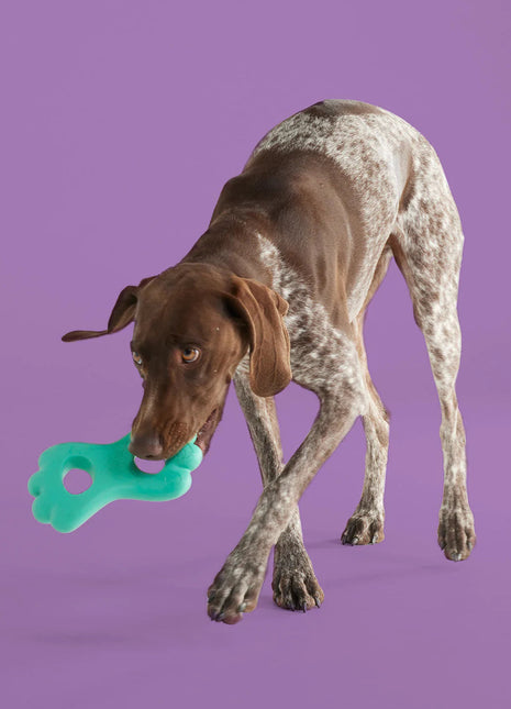 Tug of War Bundle - Pup List