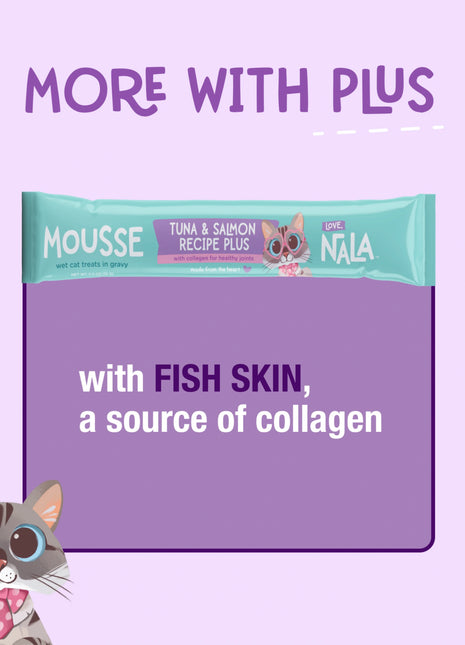Tuna & Salmon Recipe Plus Cat Treats, Pack of 4